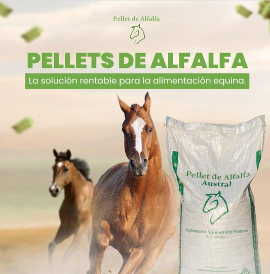 PELLETS DE ALFALFA PREMIUM - Inversiones Austral ecommerce