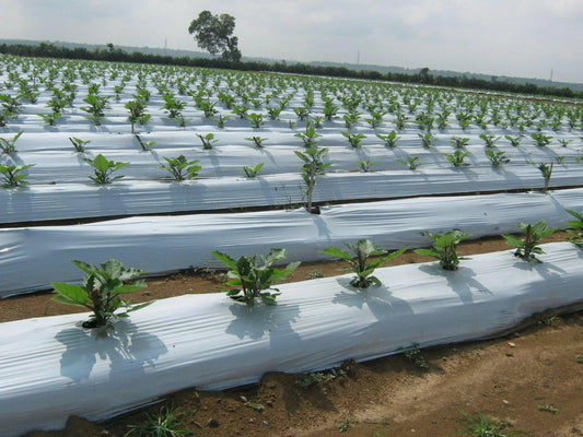 Mulch Film Bicolor Antimaleza 100 Cms x 400 Metros 30 Micrones - Inversiones Austral ecommerce